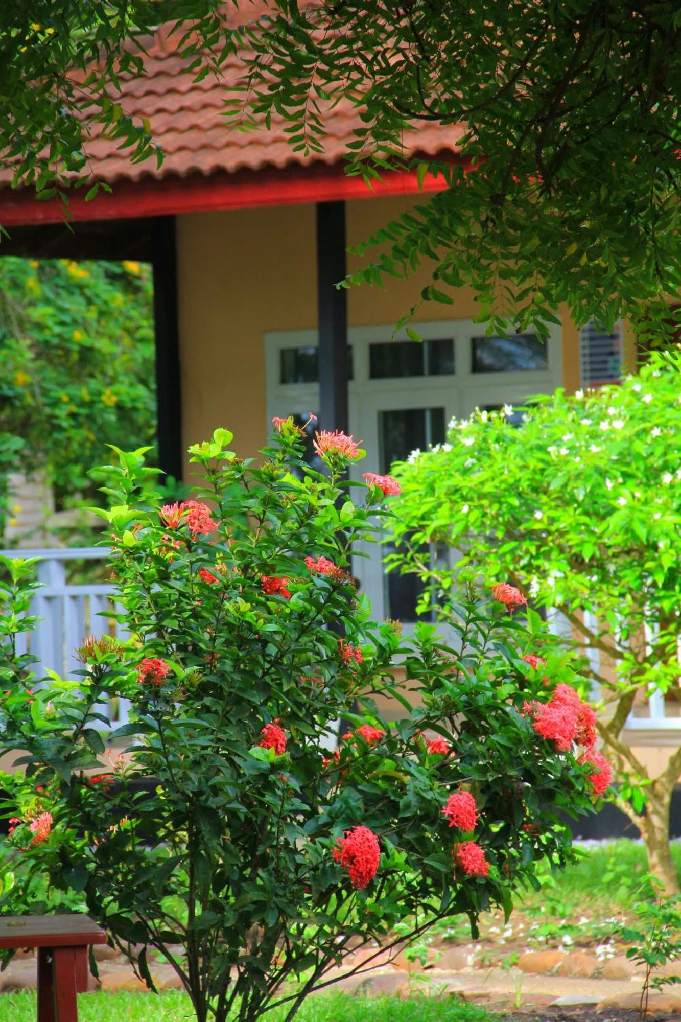 Charlestina Beach Resort Ampeni Bagian luar foto